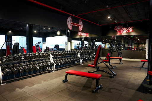 Basic Fitness Gym | نادي بيسك فتنس Profile Picture