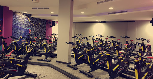 Reflection Fitness Lounge Profile Picture