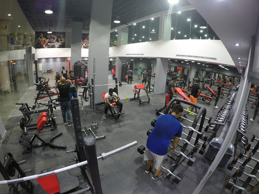 مصنع العضلات Muscles Factory Profile Picture