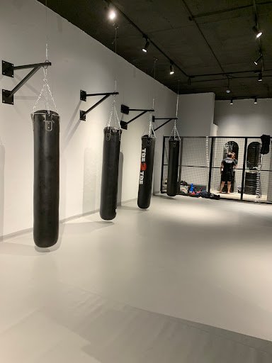 29 Victory Martial Arts الفوز التاسع والعشرين للفنون القتالية Profile Picture