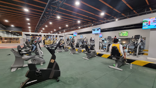 Power Gym Profile Picture