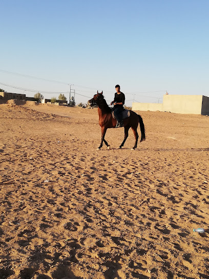 مربط ابناء تويسان للخيل العربية Profile Picture