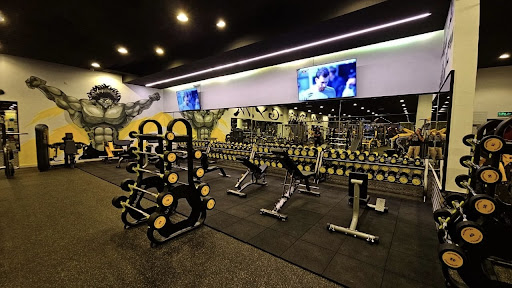 نادي الفا فيتنس الرياضي ALPHA Fitness gym Profile Picture