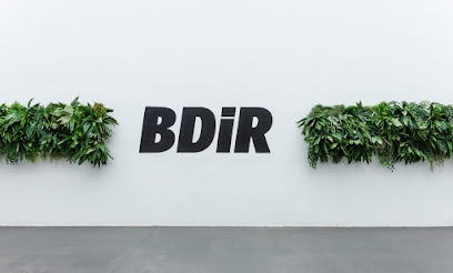 BDiR Mallorca Profile Picture