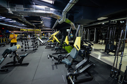 Body Factory Zaragoza Profile Picture