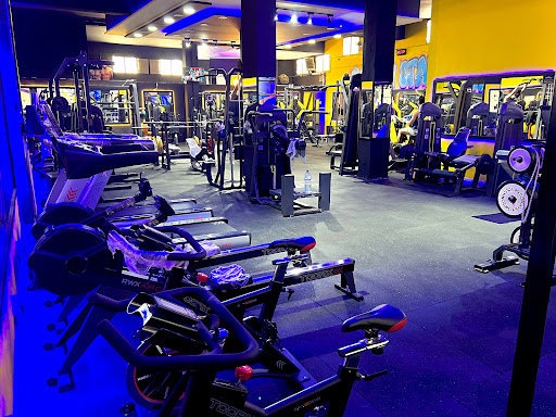 Golden Stars Gym Profile Picture