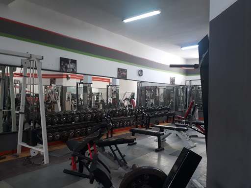 Salle de sport Dali Profile Picture