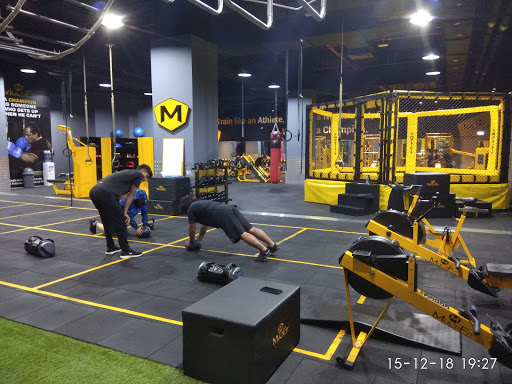 Multifit Mussafa Profile Picture