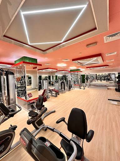 Wellness Fitness Profile Picture