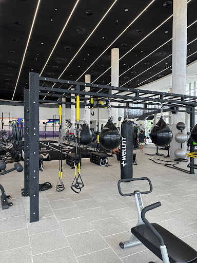 Wellfit Madar Profile Picture