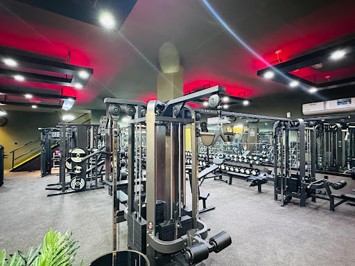 Zone Gym Ajman Profile Picture