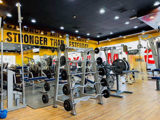 ABTHAL AL ALAM BODY BUILDING GYM Profile Picture