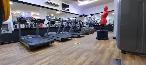 Velocity Body Fitness Profile Picture