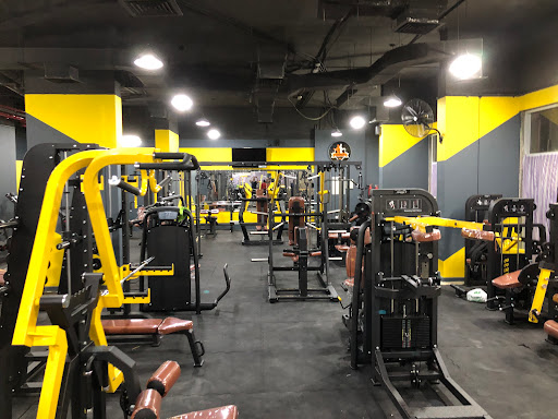 Gainsvault fitness club Profile Picture