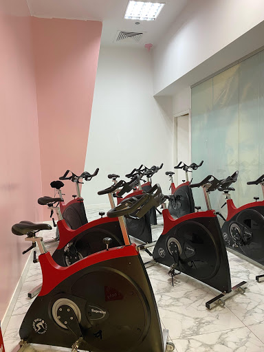 Fitness 360 | Ladies Only Gym Profile Picture