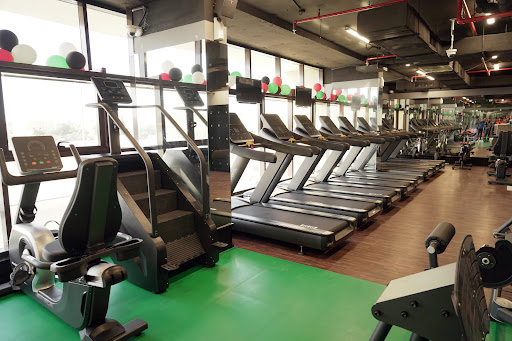 Novel Olympic Gym and Fitness Profile Picture