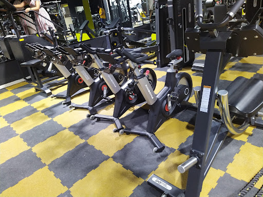 Melt Fitness Gym Profile Picture