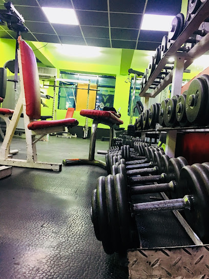 Haifa gym Profile Picture