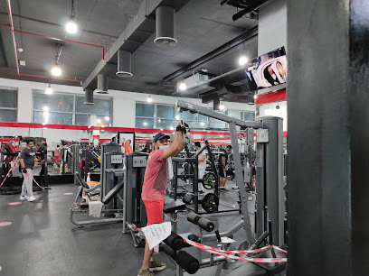 Atlas Power Gym Profile Picture