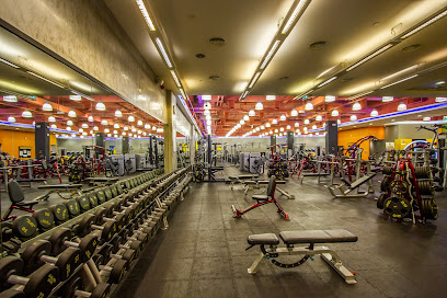 Gold's Gym Etihad Mall Profile Picture