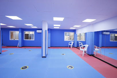 Lions Karate Martial Arts Club Profile Picture