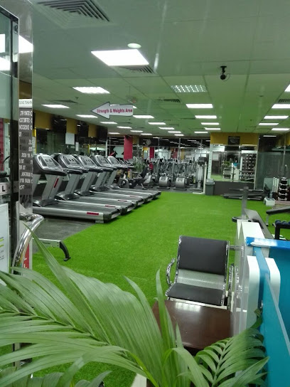 Stay Fit Fitness Club Profile Picture