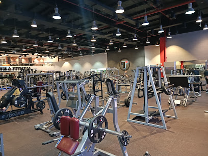 Train Strength & Fitness Profile Picture