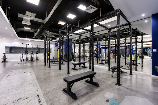 Bodyline Gym Profile Picture