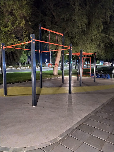 calisthenics park Profile Picture