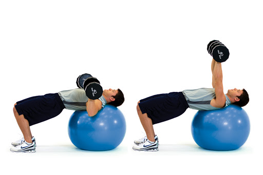 Philadelphia personal trainers Profile Picture